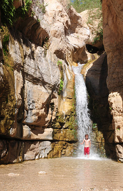 istock Arugot River Oasis, Ein Gedi, Israel 172455782