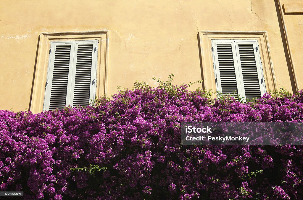 Classica architettura italiana con fiore rosa Bush - Foto stock royalty-free di Appartamento