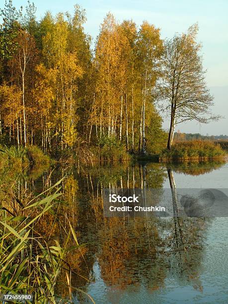 Jezioro - zdjęcia stockowe i więcej obrazów Bez ludzi - Bez ludzi, Drzewo, Fotografika