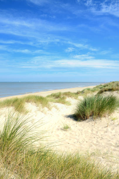 istock Sand dune with marram grass and ocean 172456090