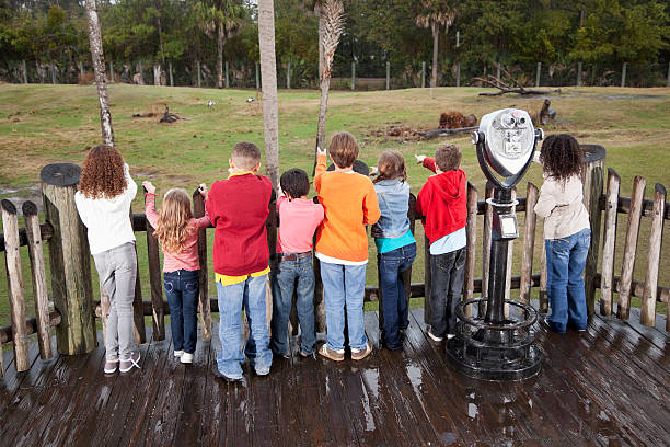 grupo de crianças no zoológico - sc0605 wildlife education in a row - fotografias e filmes do acervo