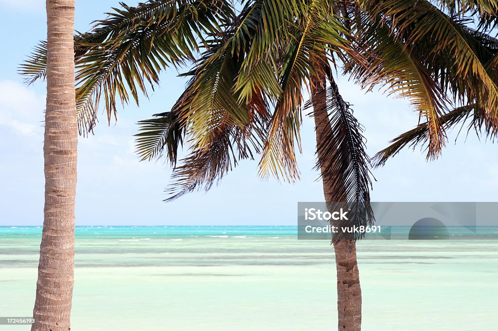 Tropical landscape Tropical landscape, Cayo Guillermo, Cuba Atlantic Ocean Stock Photo