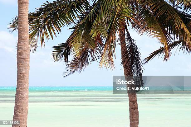 Tropical Landscape Stock Photo - Download Image Now - Atlantic Ocean, Atoll, Backgrounds