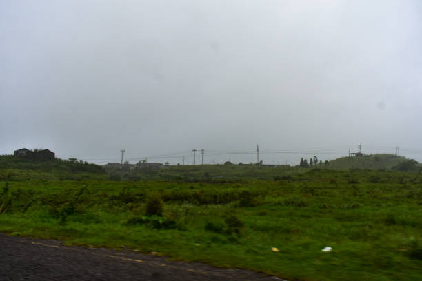 istock Grass land in foggy day 1724565236
