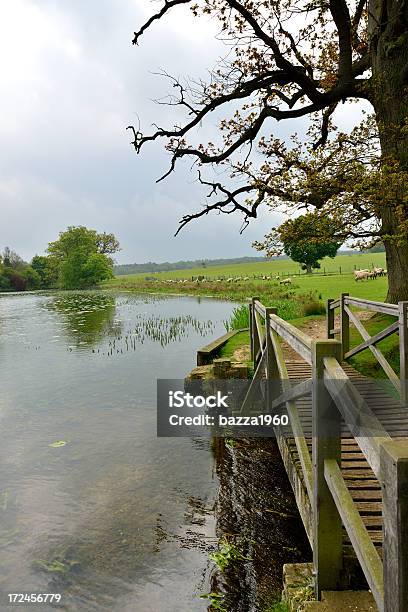 Spring Stock Photo - Download Image Now - Agricultural Field, Animal, Bridge - Built Structure
