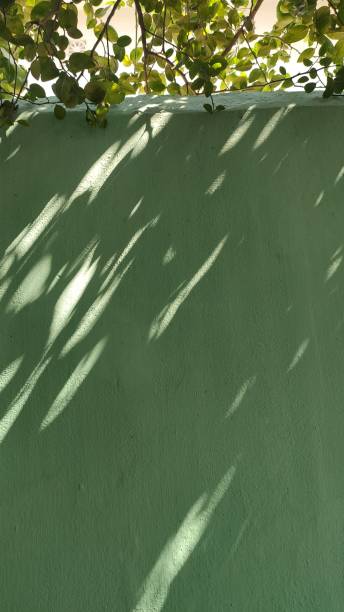 istock Sunlight and the shadow on the green wall 1724567955