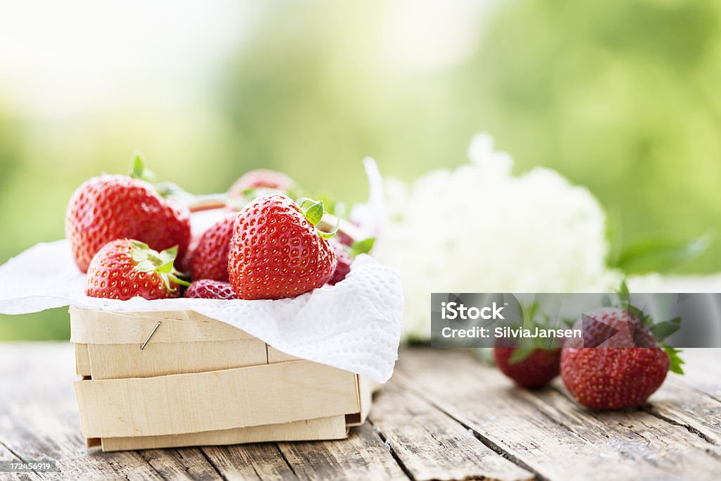 Erdbeeren in Korb frisch vom Garten - Lizenzfrei Baumblüte Stock-Foto