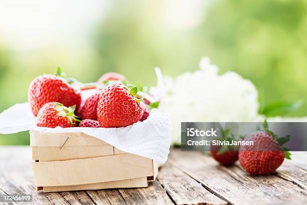 Erdbeeren In Korb Frisch Vom Garten Stockfoto und mehr Bilder von Baumblüte - Baumblüte, Beere - Obst, Bildkomposition und Technik