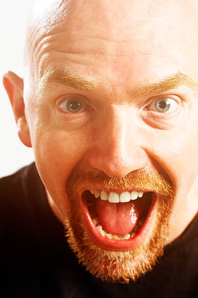 istock Laughing  bald man with beard is absolutely delighted! 172457008
