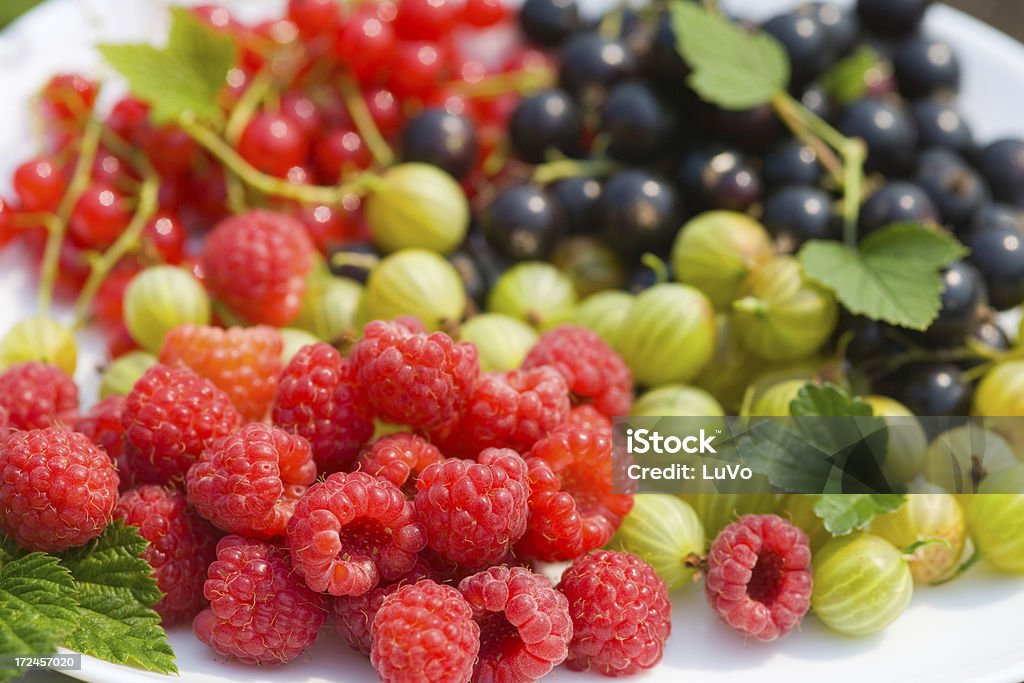 FRAIS berry - Photo de Aliment libre de droits