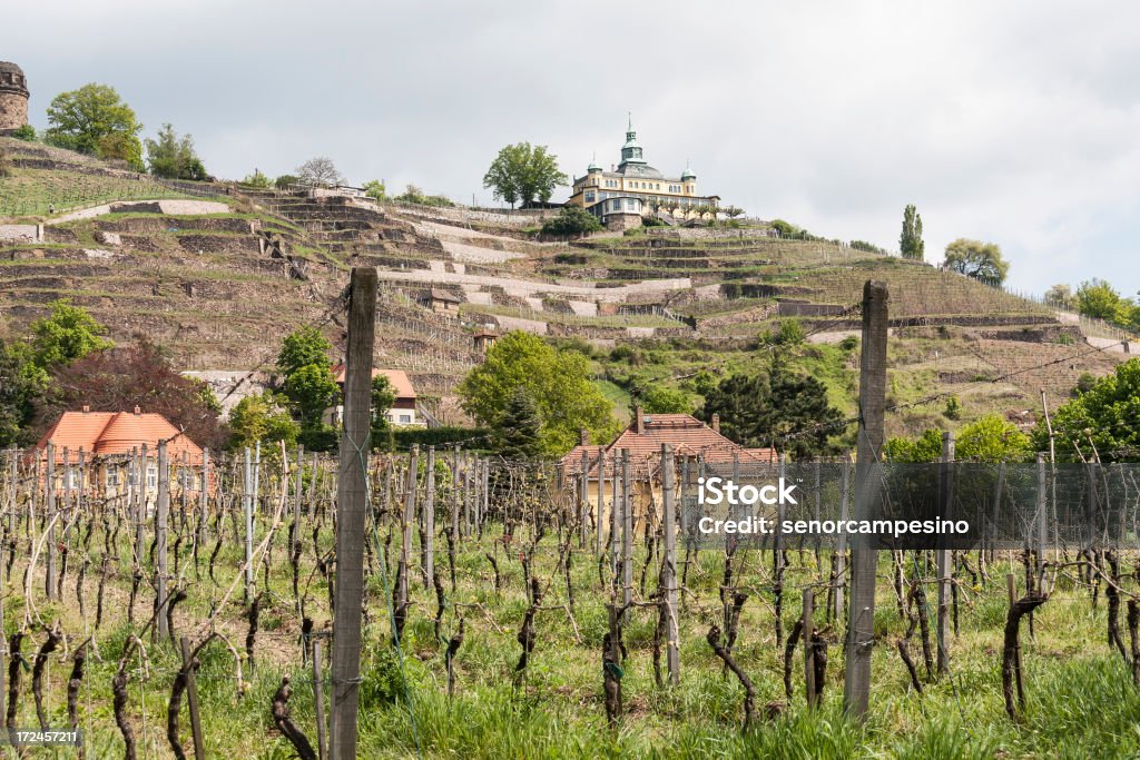 Spitzhaus in Radebeul "Restaurant Spitzhaus above the vineyards in Radebeul (Saxony, Germany) in the Elbe Valley near Dresden." Agriculture Stock Photo