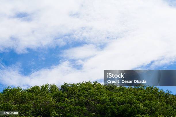 Foto de Azul E Verde e mais fotos de stock de Azul - Azul, Copa, Céu - Fenômeno natural