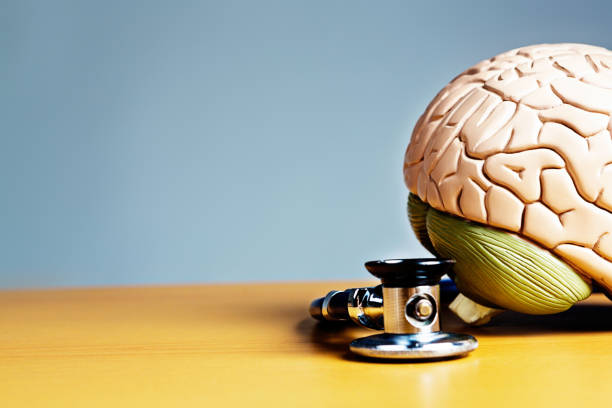 istock Stethoscope with model brain: mental health, circulation, or stroke issues 172457585