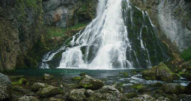 istock Mountain river flows down in the forest. Clear water foam and splash on boulders overgrown with green moss. Gollinger Waterfall in Austria. 1724577589