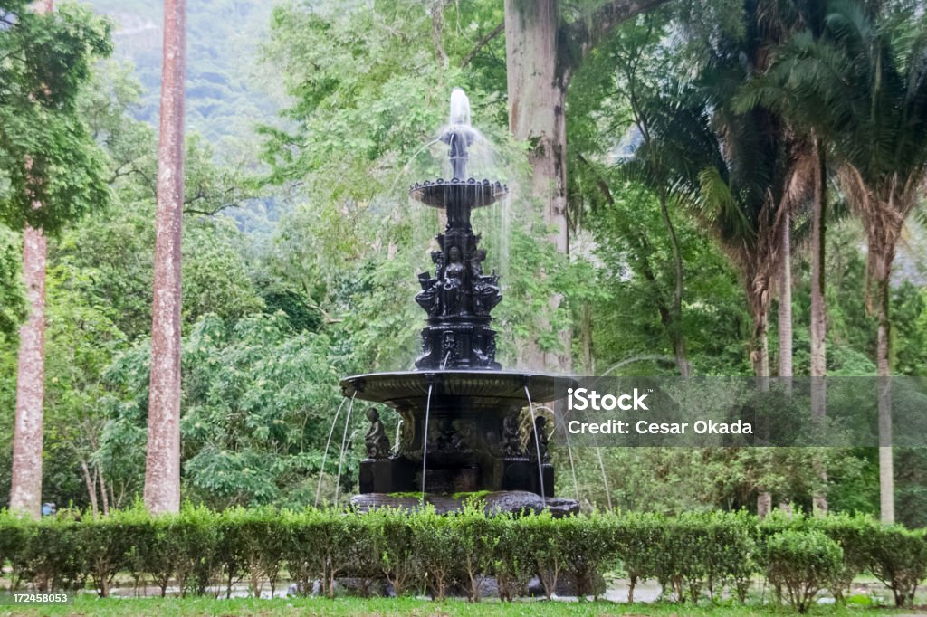 Fontaine à eau - Photo de Arbre libre de droits