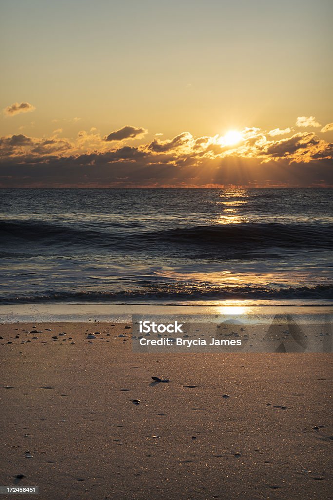 Golden Sunrise na Cape Henlopen - Zbiór zdjęć royalty-free (Stan Delaware)