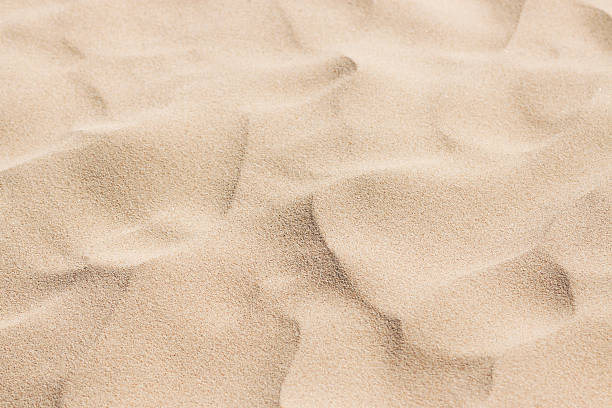 istock Waves of sand formed by wind, background with copy space 172458500