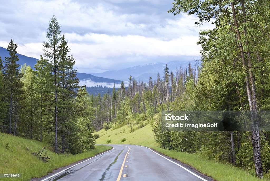 L'autoroute à travers les montagnes - Photo de Arbre libre de droits