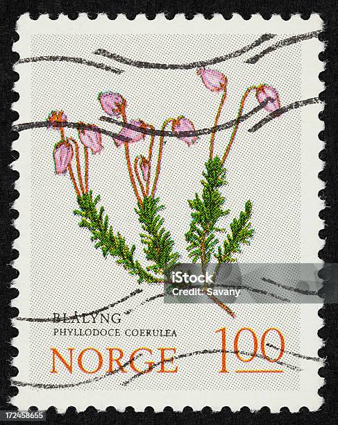 Norvegese Francobollo Postale - Fotografie stock e altre immagini di Busta - Busta, Carta, Close-up