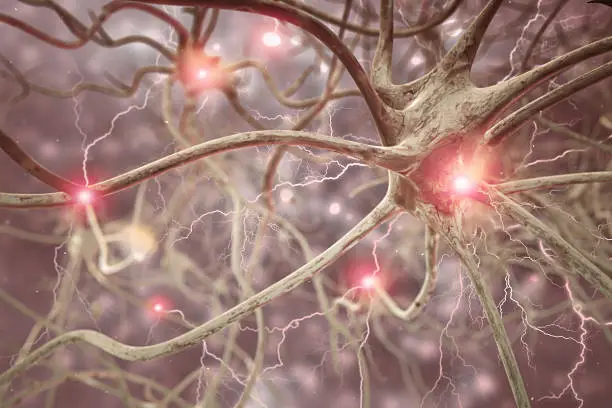 Interconnected neurons transferring information with electrical pulses. 3D rendering high quality.