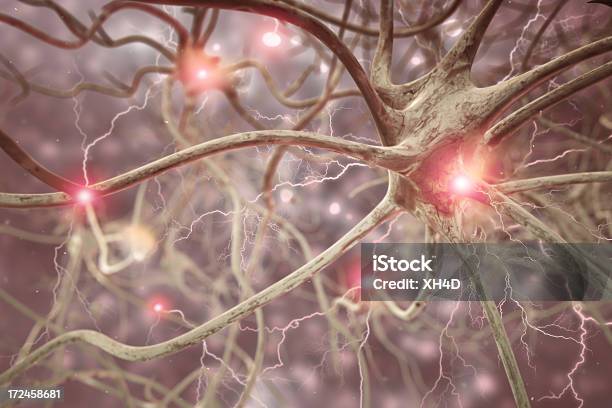 Komórka Nerwowa 3d Ilustracja Biomedyczna - zdjęcia stockowe i więcej obrazów Układ nerwowy człowieka - Układ nerwowy człowieka, Komórka nerwowa, Synapsa