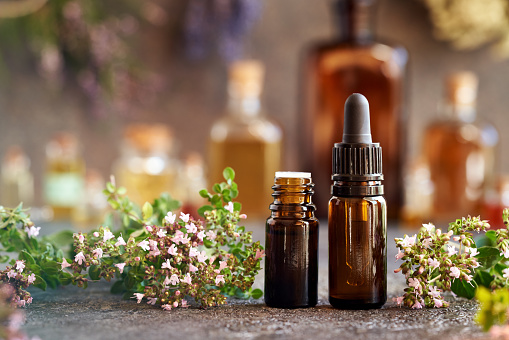 Brown bottles of aromatherapy essential oil with fresh oregano leaves and flowers on a table