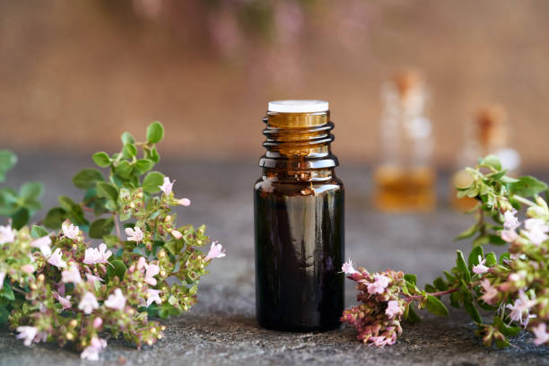 istock Essential oil bottle with blooming oregano plant 1724587745