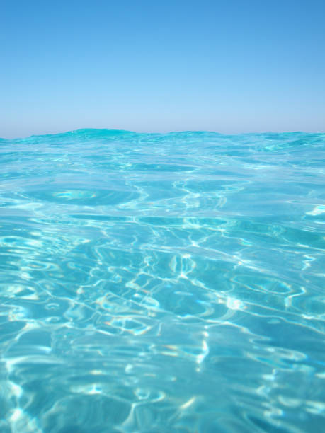 istock Surface of the ocean 172459311