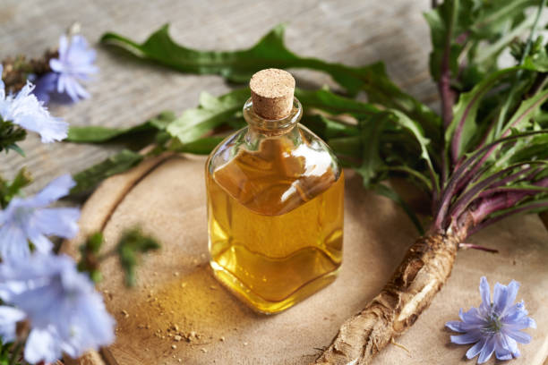 istock Chicory root tincture in a glass bottle 1724594138