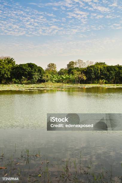 Laguna En Tailandia Foto de stock y más banco de imágenes de Agua - Agua, Aire libre, Belleza de la naturaleza