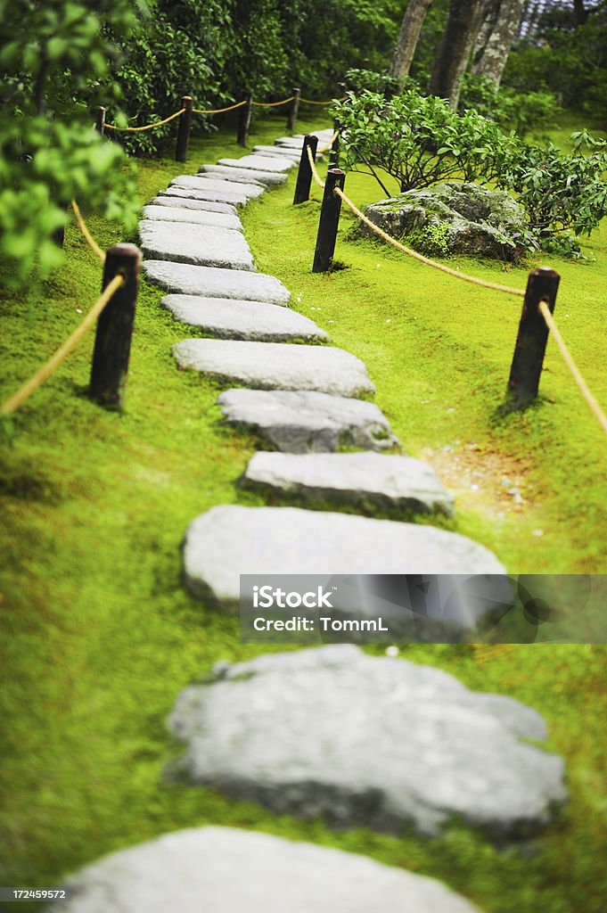Stepping Stones Path from stepping stones. Vertical Shot. Stepping Stone Stock Photo