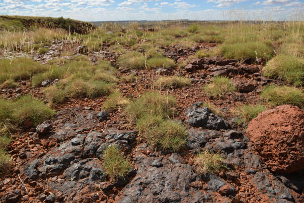 Unmined surface iron ore deposits surrounded by spinifex.