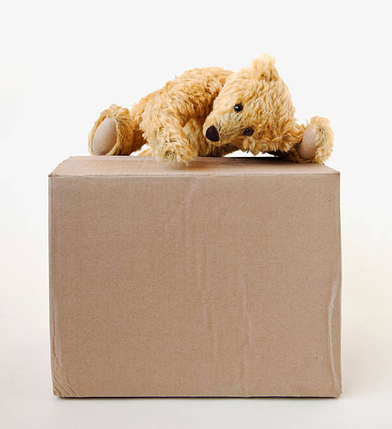 giallo morbido orsacchiotto arrampicata su una scatola di cartone. - vontact foto e immagini stock