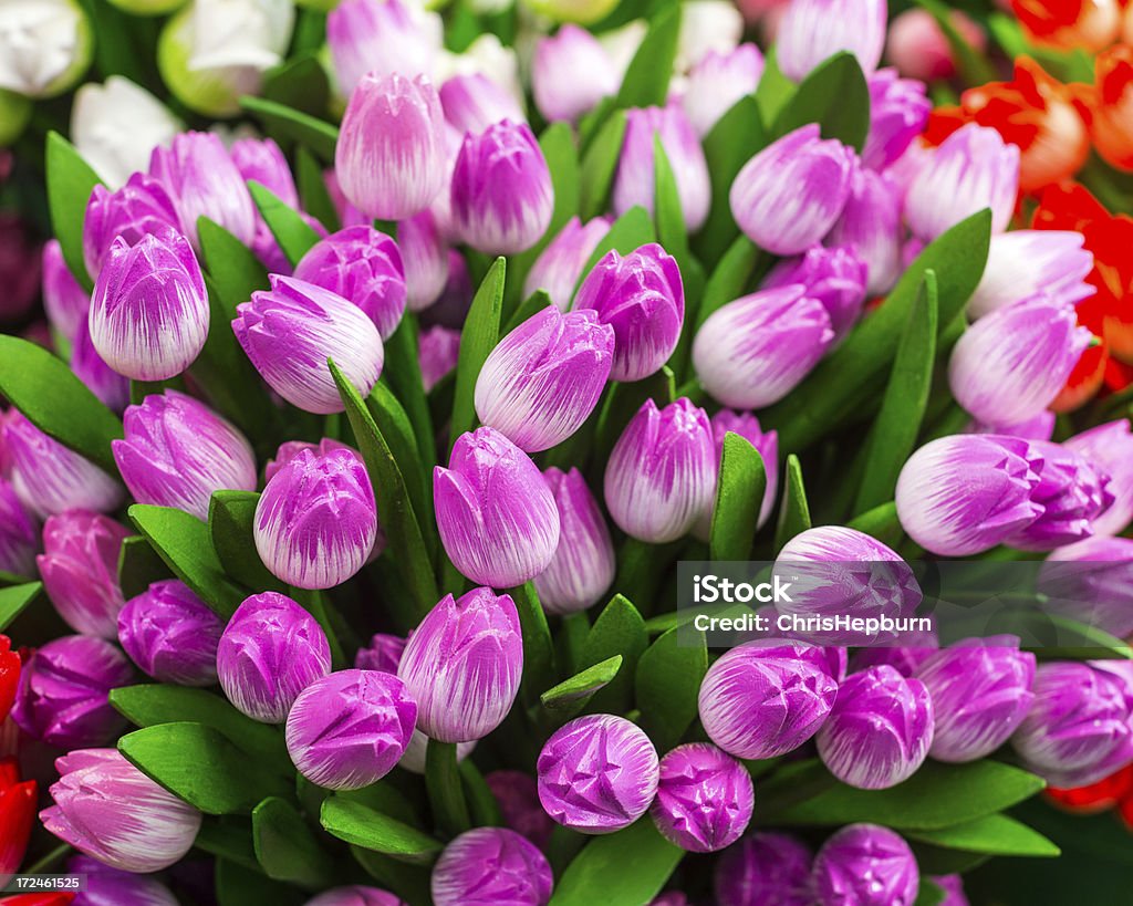 Madera tulipanes, Amsterdam, Países Bajos - Foto de stock de Aire libre libre de derechos