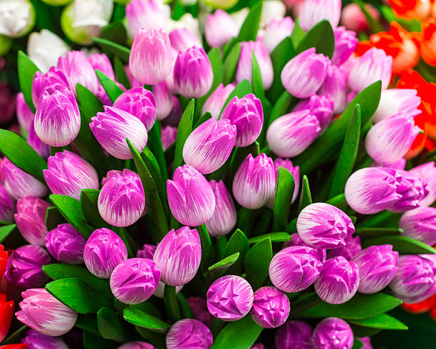 istock Wooden Dutch Tulips, Amsterdam 172461525