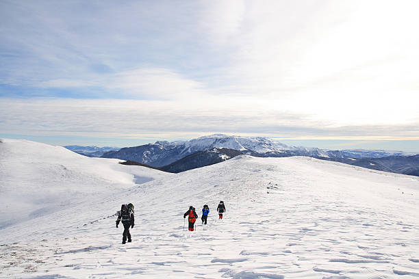 istock Group of Hikers going on the Mountain top 172461569