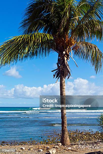 Haiti Nordouest Anse Á Foleur Oceano Atlantico - Fotografie stock e altre immagini di Acqua