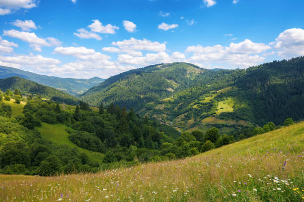 istock forested hills and grassy meadows on rolling hills 1724620534