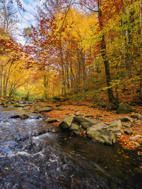 istock river with rocky shore covered in fallen foliage 1724621586