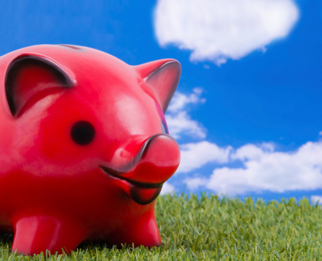High resolution render of pig isolated on white. Clipping path included.