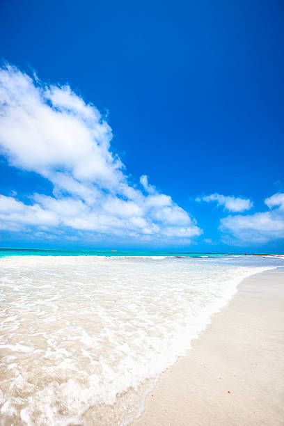 istock Tropical white sand cay beach in Los Roques Venezuela 172463007