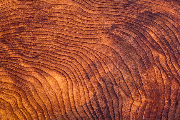Close-up of a redwood burl wood grain background Polished redwood burl wood grain texture. Natural finish, with great care taken with white balance to preserve the original colors. exoticism stock pictures, royalty-free photos & images