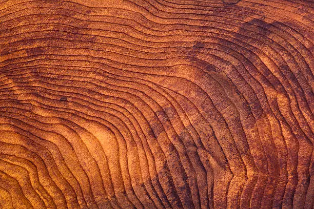 Photo of Close-up of a redwood burl wood grain background