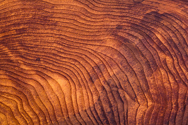 burl grãos fundo de madeira de sequóia - textured effect textured macro close up - fotografias e filmes do acervo