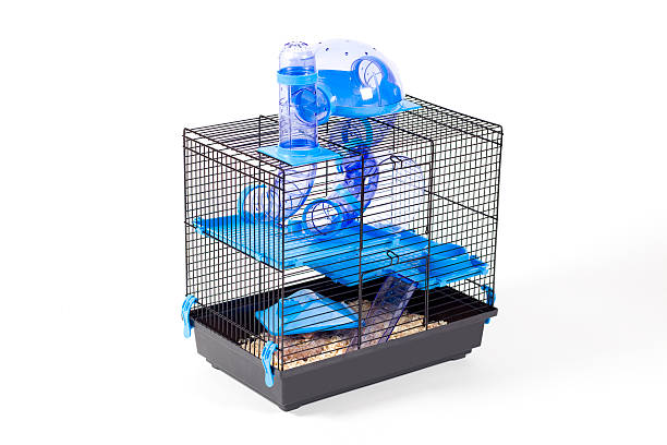 cage moderne pour hamster xxxl - hamster cage birdcage isolated photos et images de collection