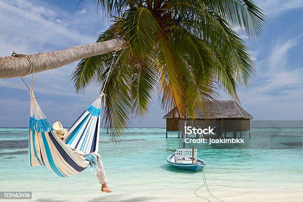 Beach Relaxation In Hammock Hanged In Paradise Stock Photo - Download Image Now - Coconut Palm Tree, Dreamlike, Idyllic