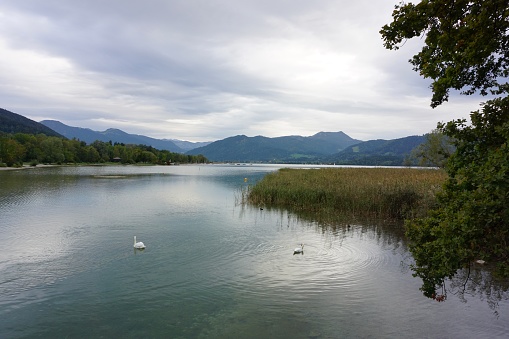 The lake in Upper Bavaria is surrounded by greenery. View of Lake Tegernsee in Bavaria, Germany. Alpine Lake Tegernsee.