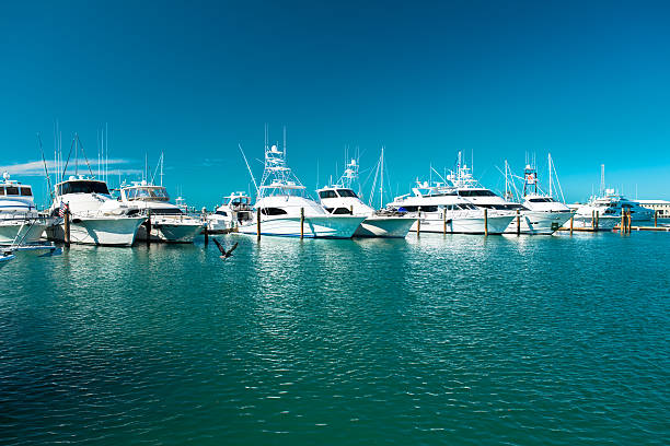 yachten gehen in key west, florida - yacht florida yachting nautical vessel stock-fotos und bilder