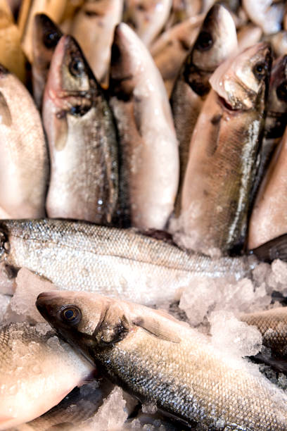istock Sea bass at fish market 172464039