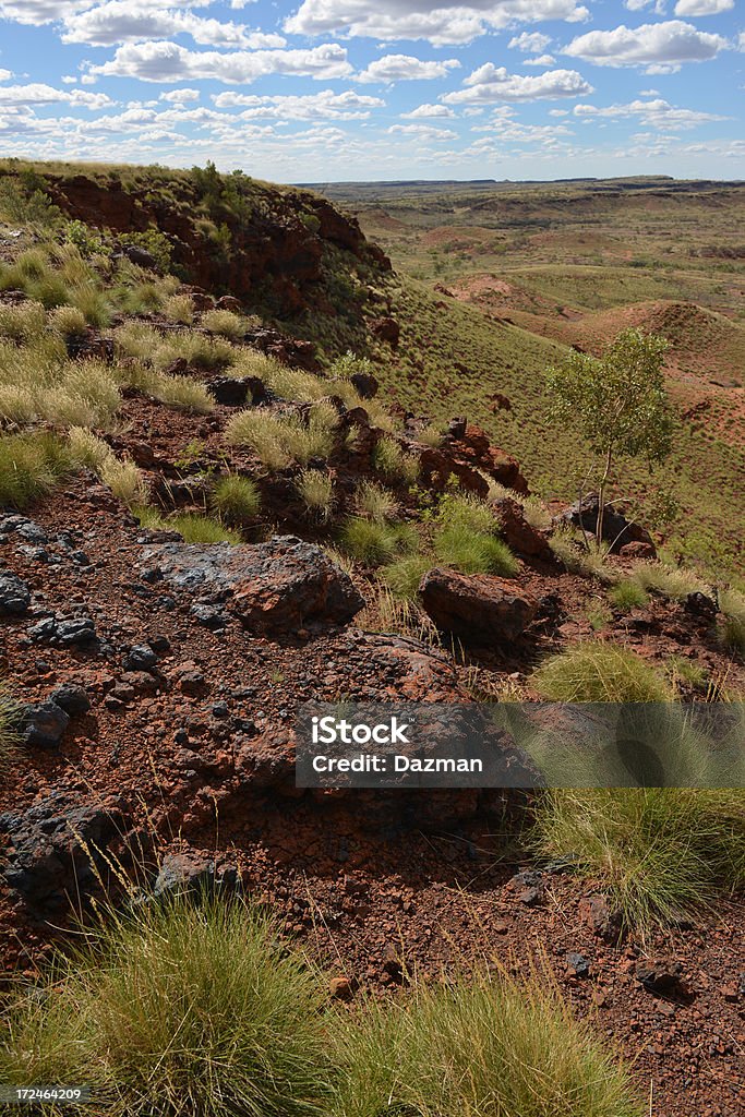 Unmined superficie Minerale di ferro depositi circondato da spinifex. - Foto stock royalty-free di Australia